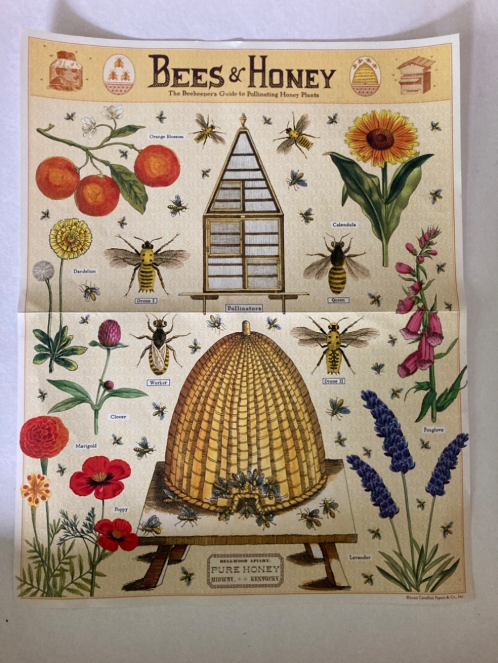 Cavallini Vintage Puzzle / Bees & Honey / 1000 Pieces - Picture 2 of 3